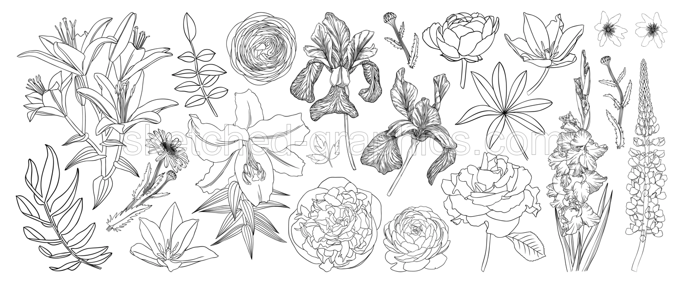 Line art flower illustrations collection. Elegant line drawing of spring and summer flowers. Hand-drawn garden plants.  Floral outline - black and white. Tulips line art for a wedding or brand design Illustration